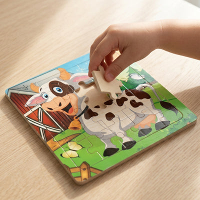 Wooden Puzzle Toy | FALCON GEAR